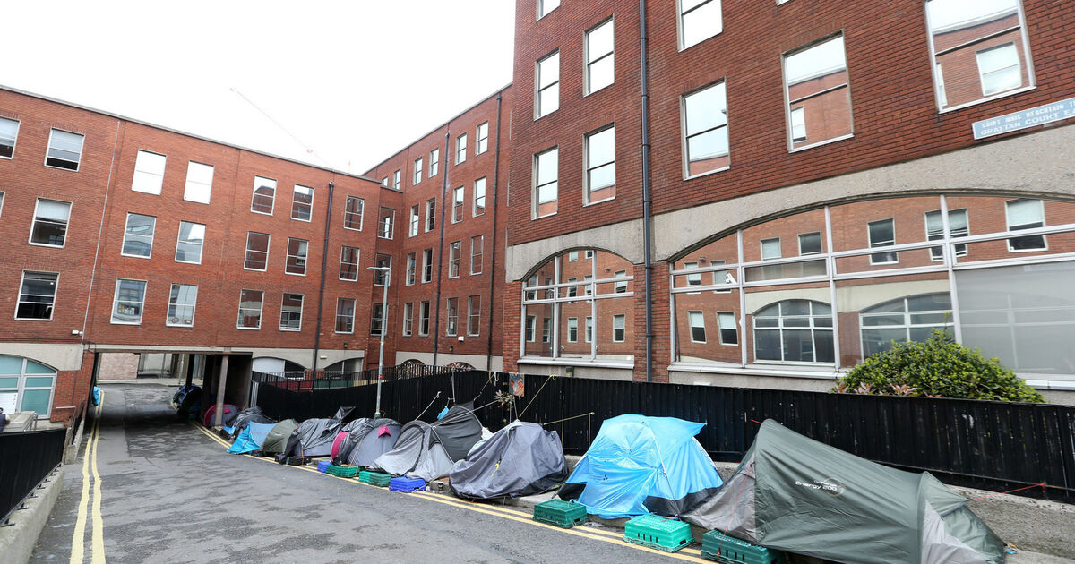 Government advertises for 'border tsar' to 'monitor asylum border procedures'