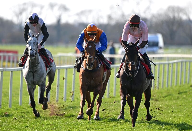 Royal Gladiator and Keith Donoghue won for trainer Ian Donoghue at Mallow. Pic: Healy Racing