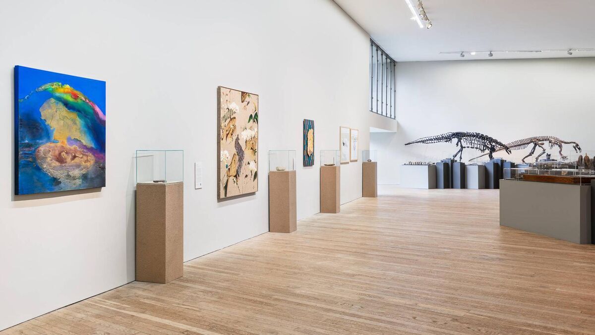 Domain of the Dinosaurs  at The Glucksman. Picture: Jed Niezgoda 