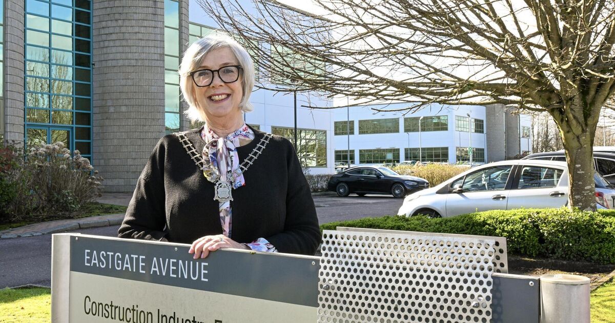 'Untapped resources': Construction industry needs more women, says CIF Cork chair 