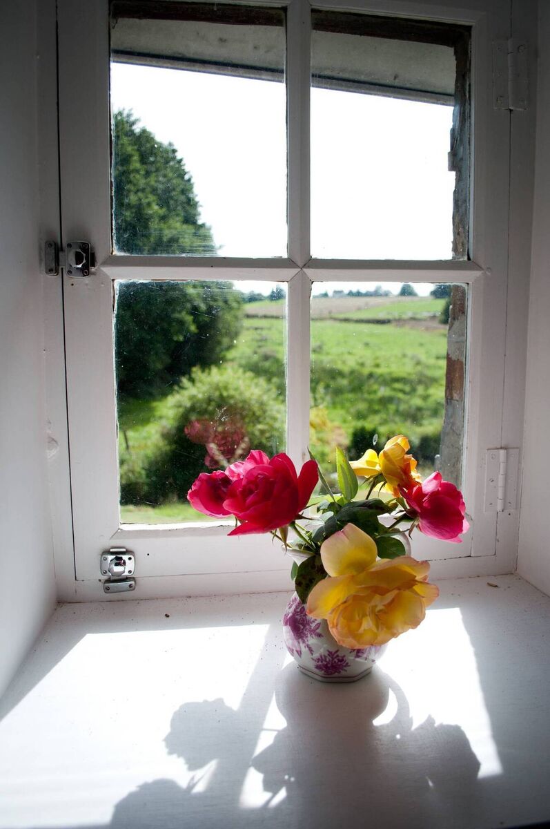 Old windows in traditional buildings are often single-glazed but offer extra consideration before removal. The T&amp;Cs of the SEAI grant system is also not entirely suited to heritage homes with high heat-loss indicator readings. 