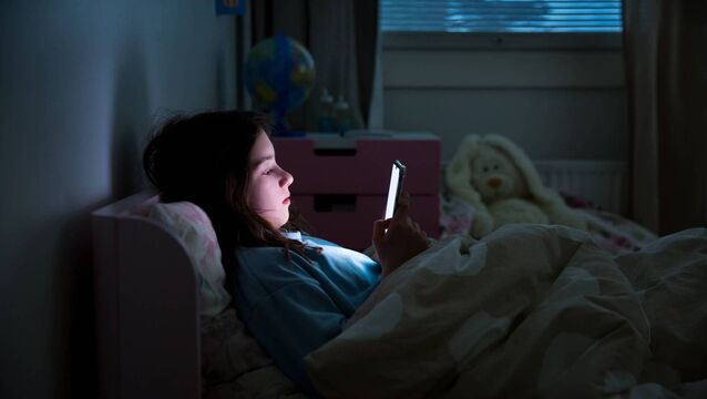 <p>Growing concern about social media and children has led to an EU expert group analysing whether a minimum age for use is needed.  File picture</p>