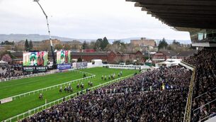 <p>The bush telegraph is also flooded with stories of proposed tweaks to the Cheltenham Festival but restoration should be the aim, not change. Pic: Harry Murphy/Sportsfile</p>
