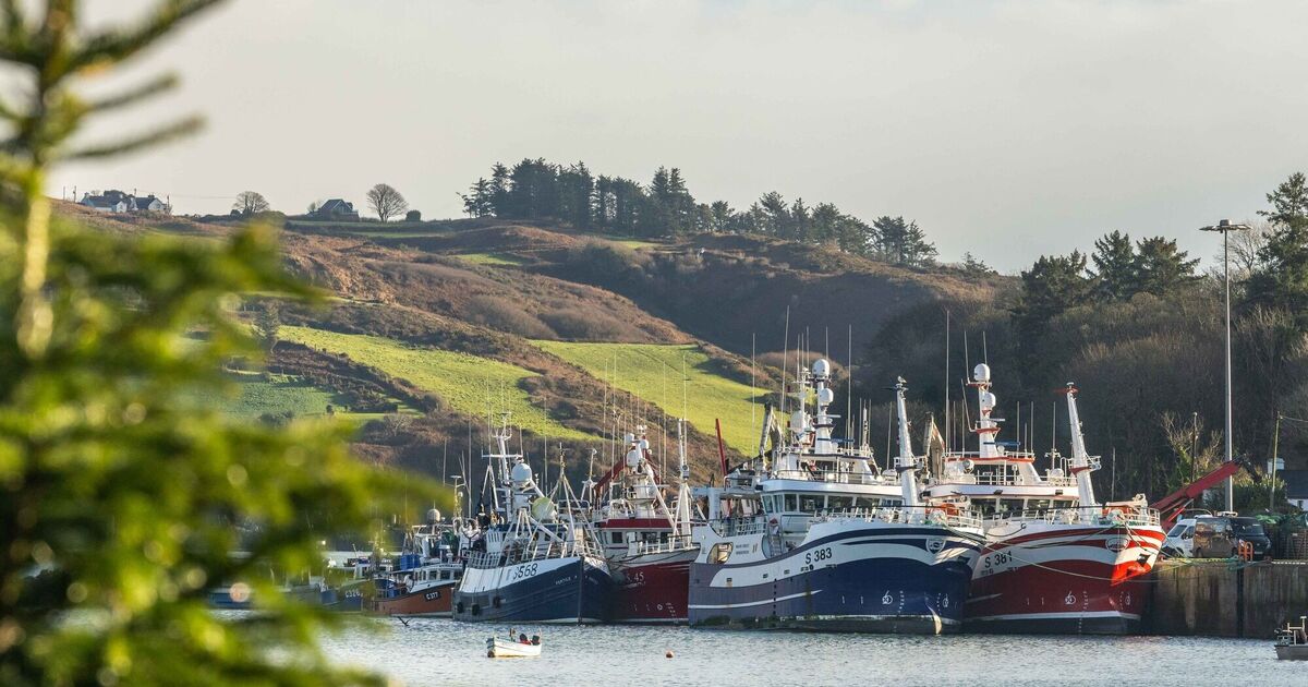 Fishing fleet could be grounded within weeks due to fuel costs