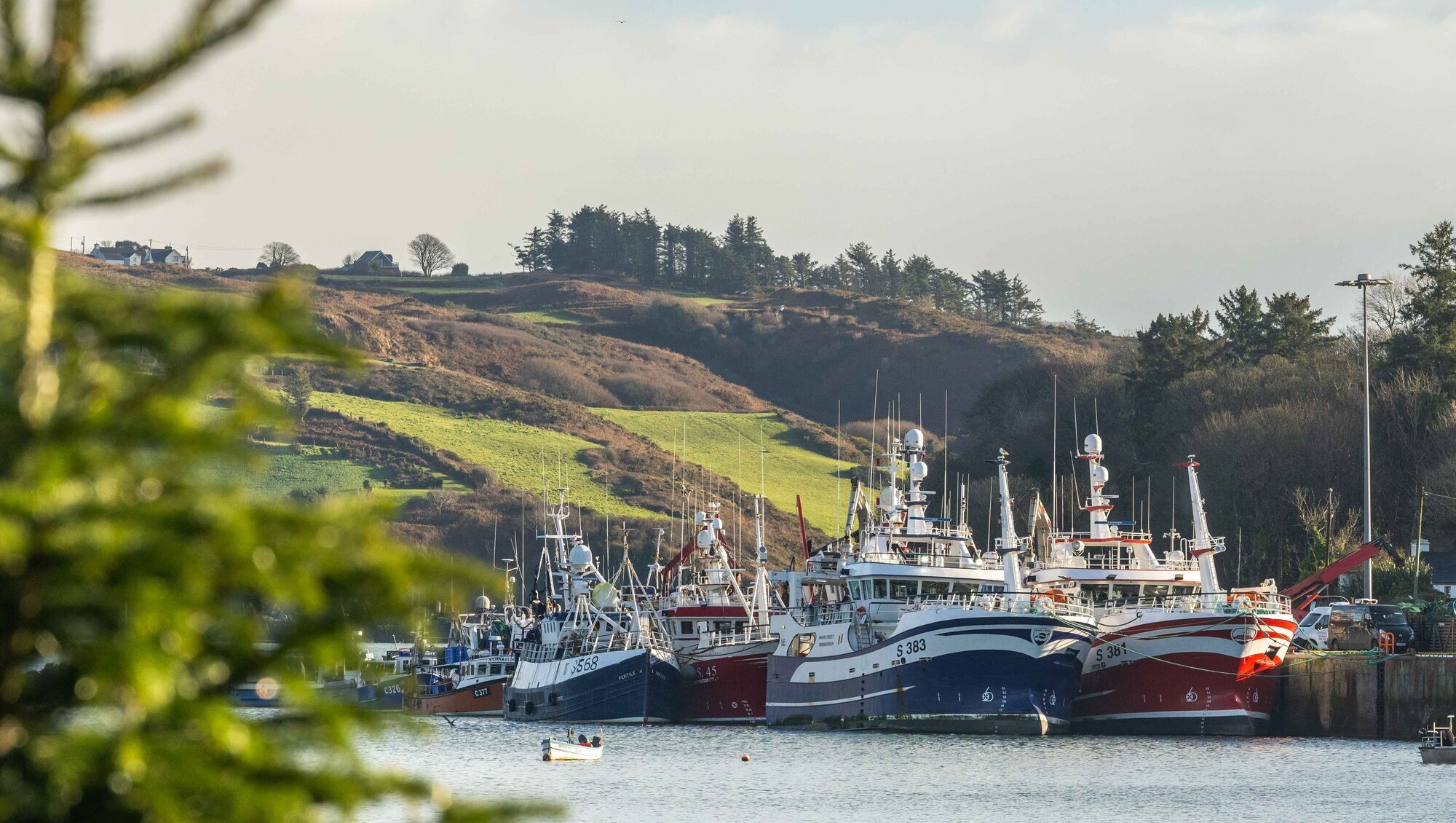 Fishing fleet could be grounded within weeks due to fuel costs