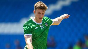 <p>James Naughton scored 1-2 for Limerick as they fought back to beat Fermanagh. Pic: Matt Browne/Sportsfile</p>