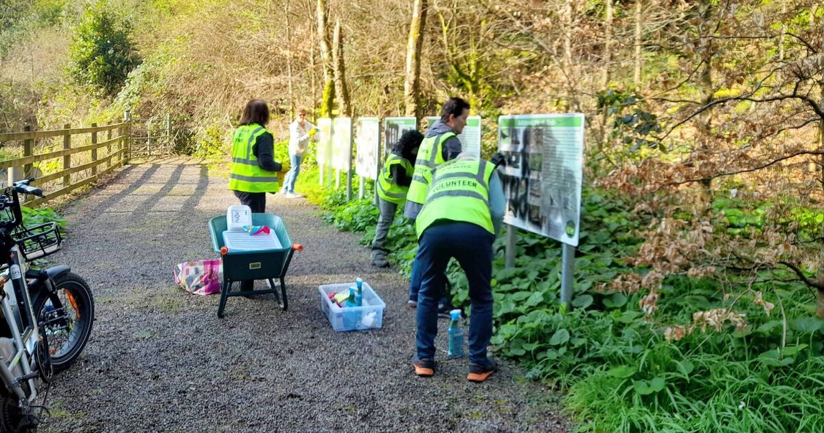 Douglas Tidy Towns volunteers remove antisemitic graffiti from trail