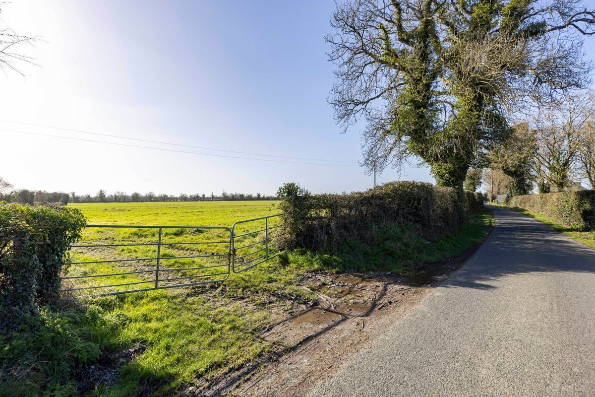 A roadside view of the 43-acre farm at Herbertstown, Dunboyne, Co. Meath. A roadside view of the 43-acre farm at Herbertstown, Dunboyne, Co. Meath.
