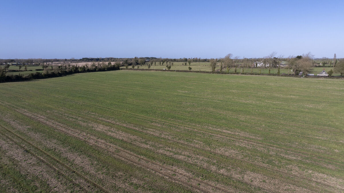 Some of the quality lands on the Meath holding. Some of the quality lands on the Meath holding.