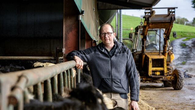 <p>Denis Hickey on his dairy beef farm just outside Midleton in Co Cork. Picture Chani Anderson</p>