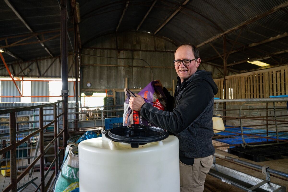 All calves have settled in well and are currently being fed three litres of milk twice daily using blue teat feeders. 