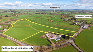 <p>The 16-acre farm adjoins the main Clonakilty-Dunmanway road and has extensive road frontage.</p> <p>The 16-acre farm adjoins the main Clonakilty-Dunmanway road and has extensive road frontage.</p>
