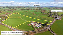 Prime West Cork grassland parcel guiding at €15-€20k/acre