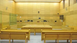 <p>For some asylum cases, only case numbers and initials are normally published — with no names of applicants or lawyers mentioned. However, a report on the data breach said this had not happened, meaning reference numbers, party names, and some cases, details were online. Picture: Larry Cummins </p>