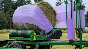 <p> Making better-quality silage will help to reduce your overall production costs while animals are housed.</p>