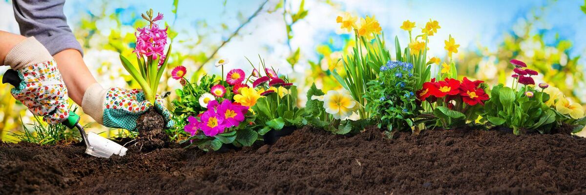 Sunny days ahead for new home owners: If you are patient at the outset, this can be the type of planting you'll eventually get to do in your new garden. Sunny days ahead for new home owners: If you are patient at the outset, this can be the type of planting you'll eventually get to do in your new garden.