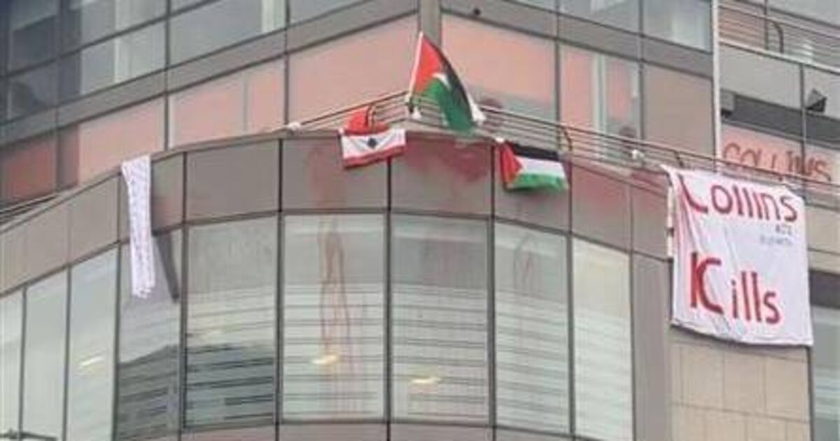 Gardaí investigating Palestine protest at Collins Aerospace in Cork send file to DPP