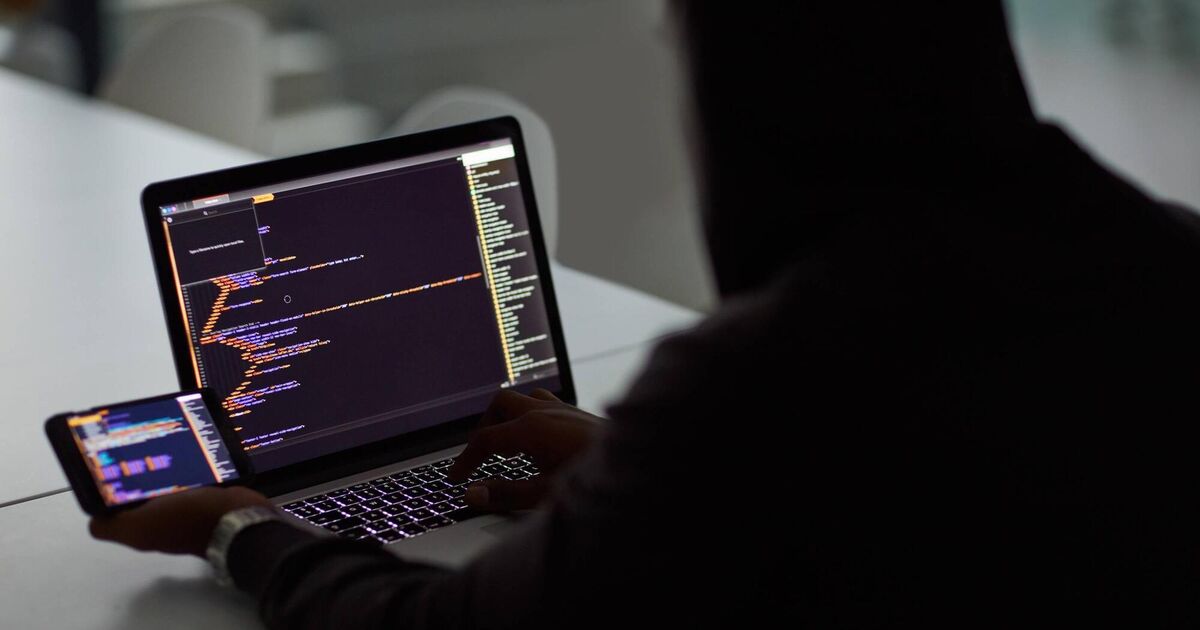 Irish Examiner view: We need better protection against fraud