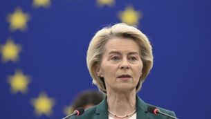 <p>European Commission president Ursula von der Leyen. </p>