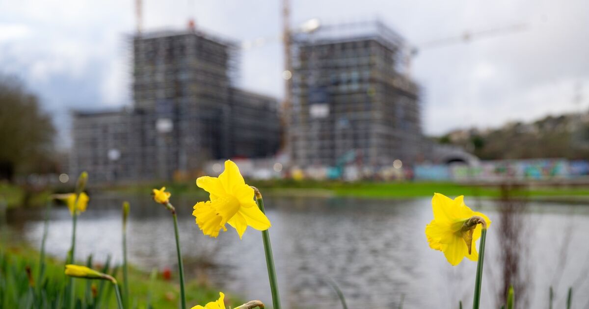 State supports are increasingly vital for new home buyers