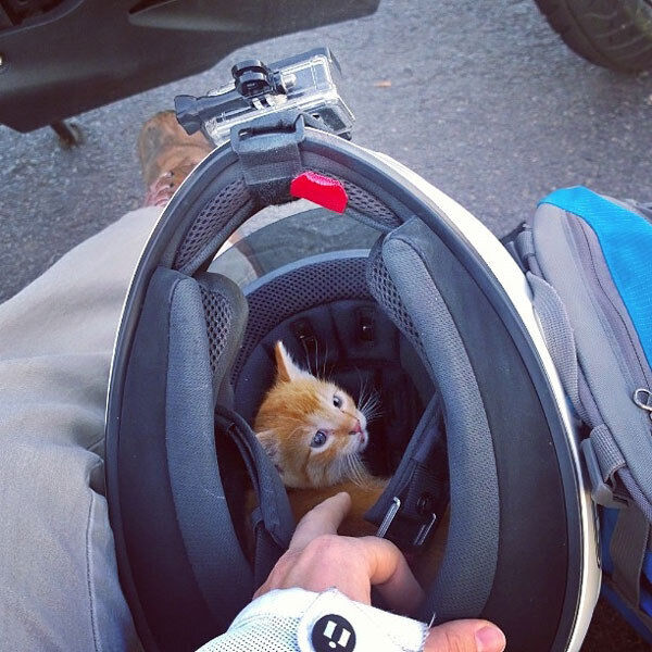 Photo via Your_Brain_On_Pizza/Reddit