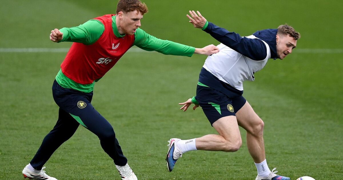 Czechia v Ireland in the WC playoff semi-final: Kick-off time, TV details, team news and everything you need to know