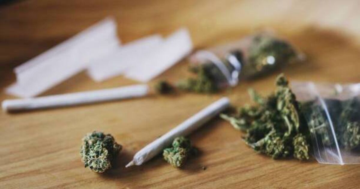 Man arrested after €110k cannabis seizure at Dublin Bauer Media offices