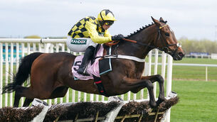 <p>Sir Gino was put to sleep at a veterinary hospital on Tuesday morning. Pic: Mike Egerton/PA Wire.</p>