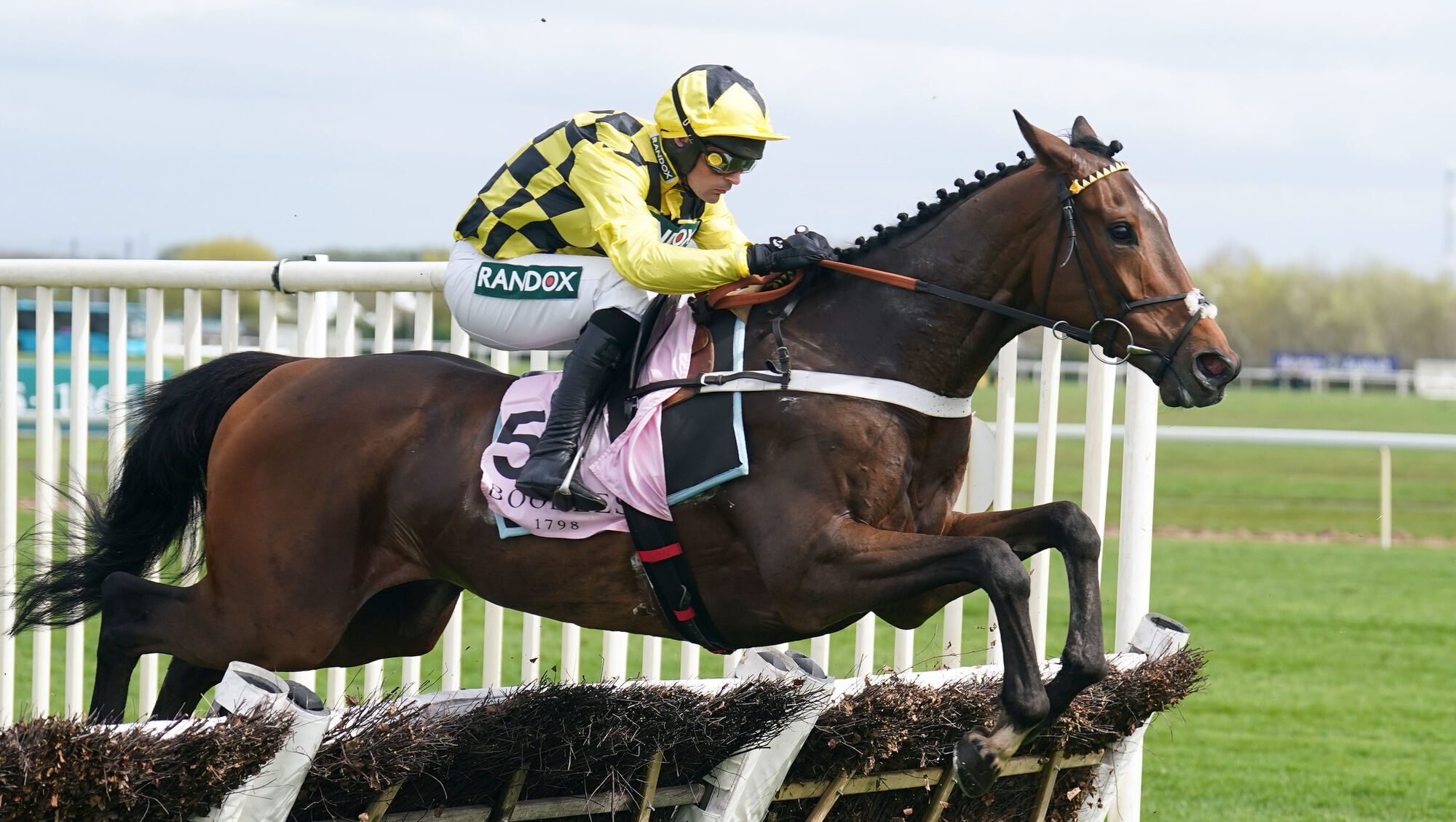 Nicky Henderson announces death of 'unforgettable' Sir Gino