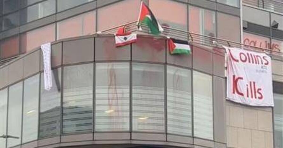 Gardaí send file to DPP in case against woman over Palestine protest in Cork