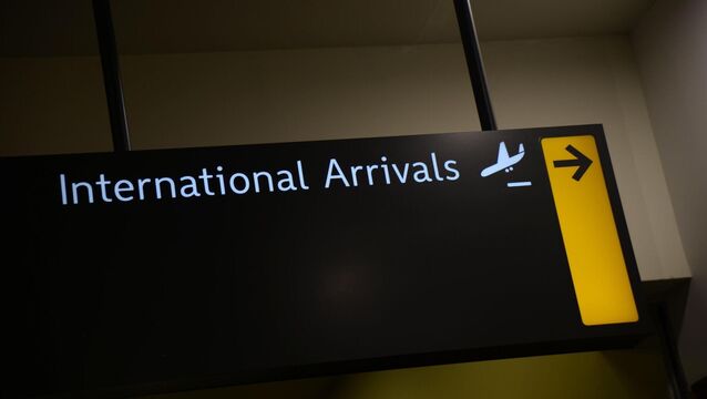 <p>The EU directive also provided the option for member states to extend the requirements to airlines in respect of 'intra-EU flights' — flights operating within the EU. File picture </p>