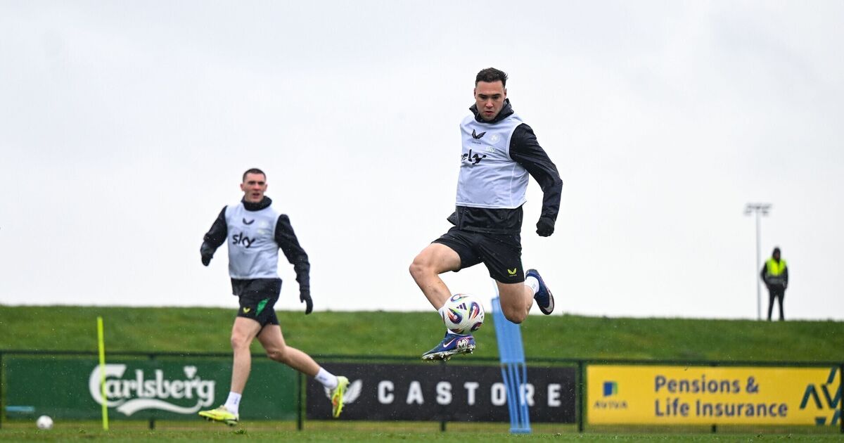 Late to the party, Ireland new boy Harvey Vale aiming for instant impact