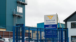 <p>North Cork Creameries site in Kanturk where it's dairy processing activity has been forced to ceased Up to 100 jobs could be lost. Picture: Noel Sweeney</p>