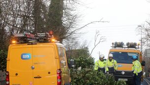 <p>ESB crews in Limerick working in the aftermath of Storm Éowyn. 	 Picture Brendan Gleeson</p>