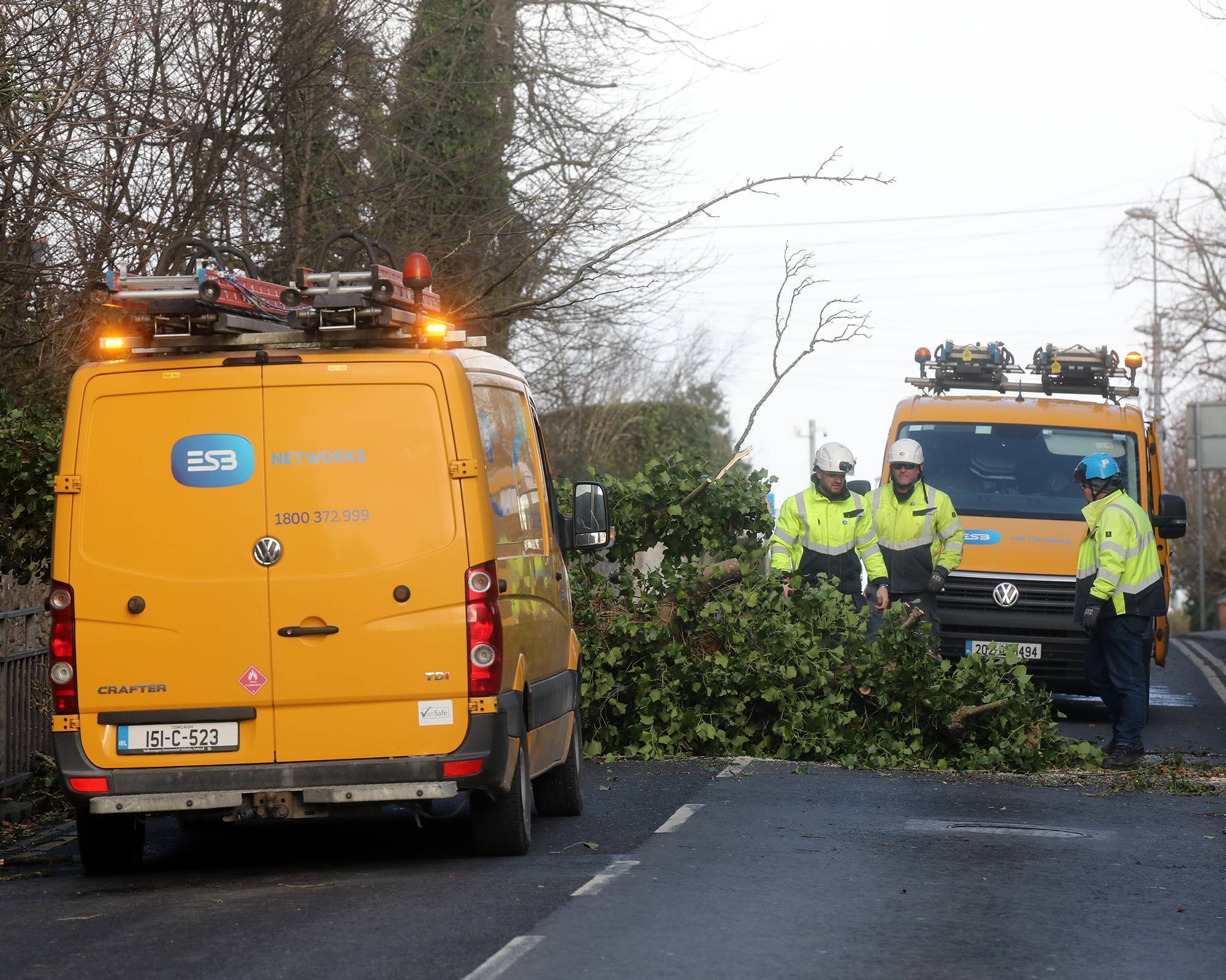 ESB profits dip on Storm Éowyn impact
