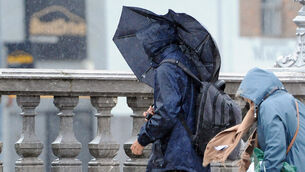 <p>Inspections and clean-up operations are underway this Wednesday. Picture: Denis Minihane.</p>