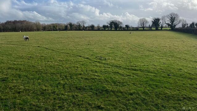 <p>Some of the quality grassland on the 47-acre farm at Roran, Terryglass, Co Tipperary.</p>