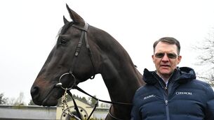 <p>Albert Einstein has not run since early last season. Pic: Healy Racing</p>