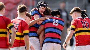 <p>St Munchin's Dara Giltinane celebrates scoring a try with Phelim Hennelly and Anluan White. Pic: Laszlo Geczo/Inpho</p>
