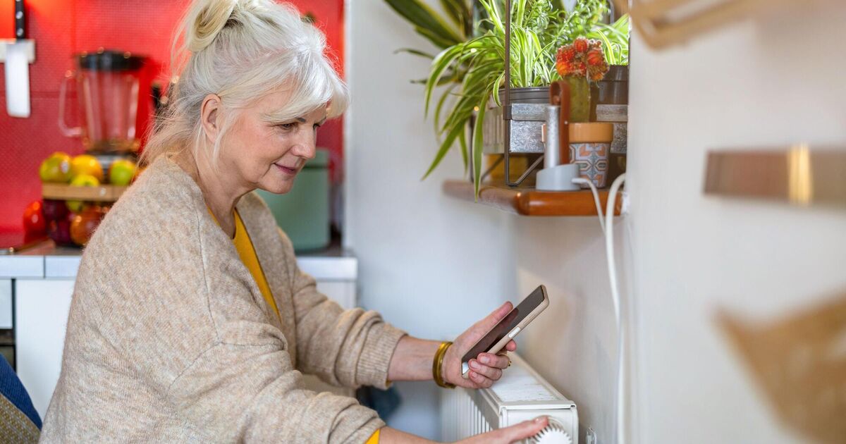 Letters to the Editor: Older people are particularly vulnerable to energy poverty 