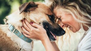 <p>Esther McCarthy: You know the way they say owners start to look like their pets?</p>