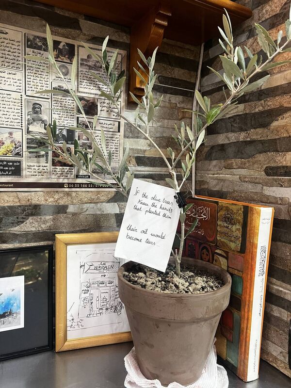 Olive tree at Restaurante JerusalĂ©n, where you can get a falafel plate for âŹ6.50. Photo credit: Eve Meehan Olive tree at Restaurante JerusalĂ©n, where you can get a falafel plate for âŹ6.50. Photo credit: Eve Meehan