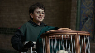 <p>Dominic McLaughlin as Harry Potter (Aidan Monaghan/HBO Max/PA)</p>