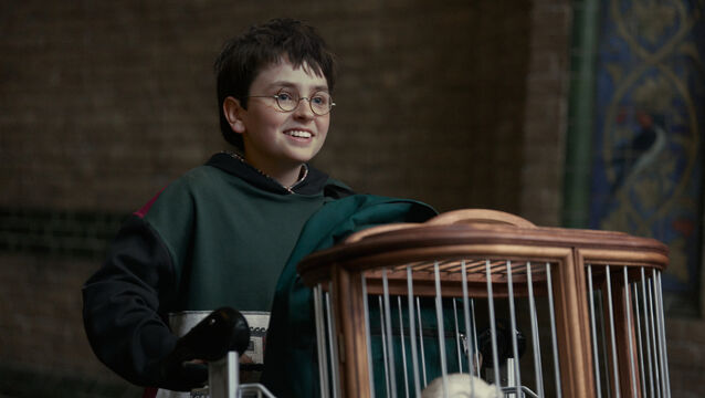 <p>Dominic McLaughlin as Harry Potter (Aidan Monaghan/HBO Max/PA)</p>