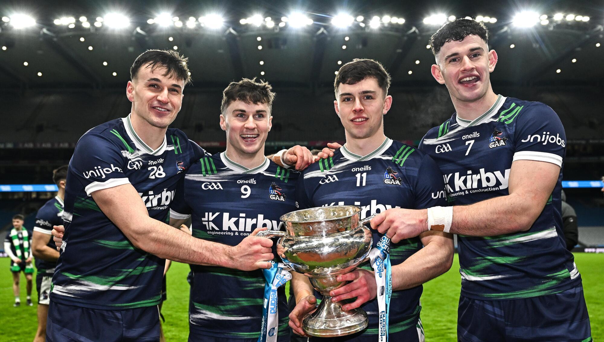 Limerick hurling's rising stars to the fore in Fitzgibbon Cup Team of the Year