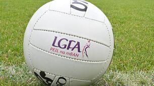 <p> Grace Guests two goals were vital on the day. Pic: Larry Cummins</p>