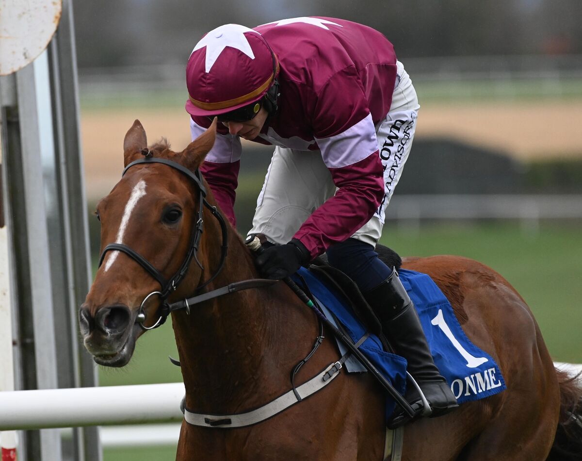 WINNING WILLIE: Boedic brought it home for Willie Mullins. Pic: Healy Racing