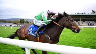 <p>SAINTS AND SINNERS: Kilbarry Saint and jockey Darragh O'Keeffe win the Irish Stallion Farms EBF Mares Beginners Steeplechase for Con O'Keeffe and Tadhg O'Sullivan in Clonmel. Pic: Healy Racing</p>