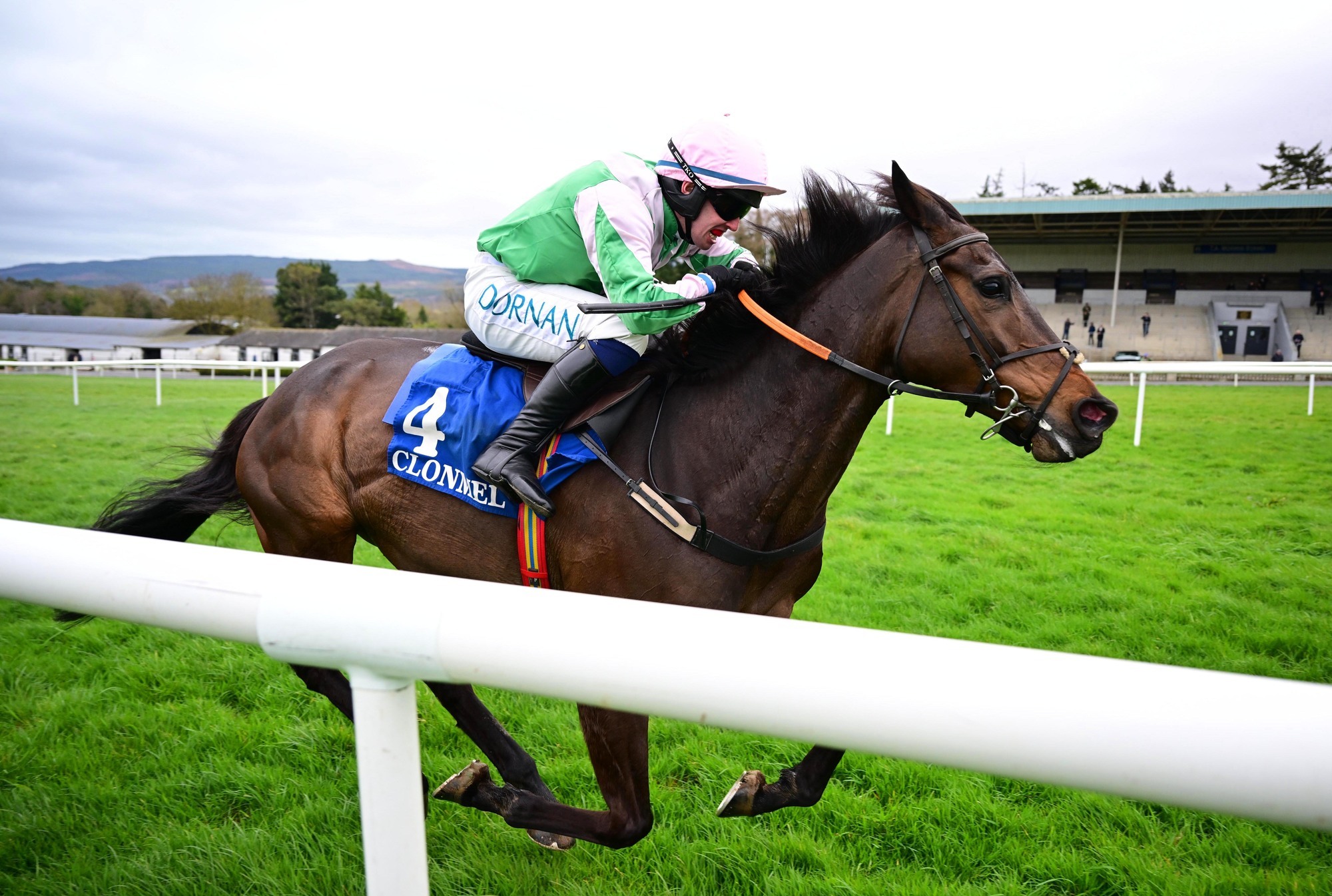 Kilbarry Saint justifies favouritism to claim Clonmel Beginners Chase