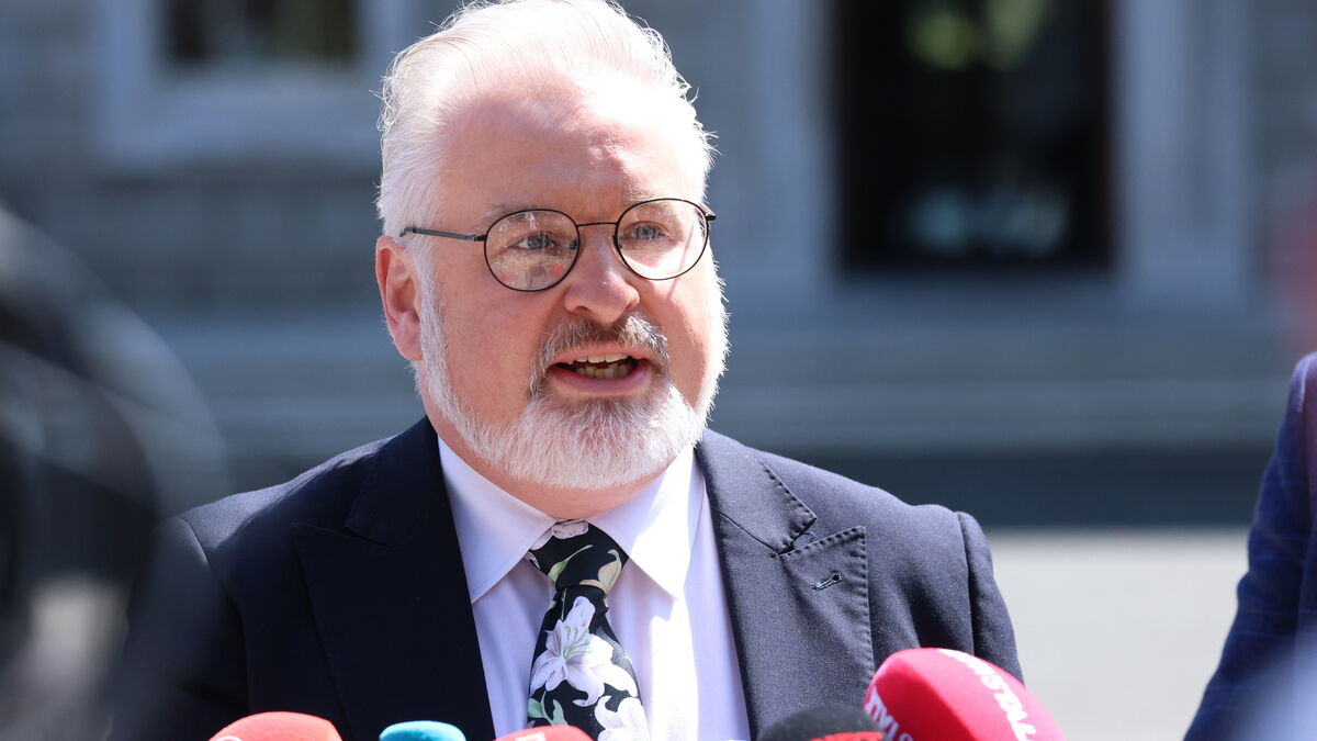 Mick Clifford: The Cork TD riding high on the wave of unapologetic anti-immigrant populism